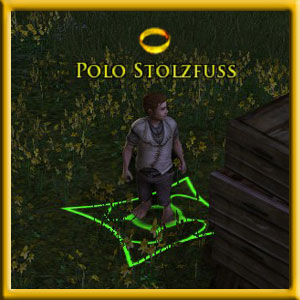 Polo Stolzfuss