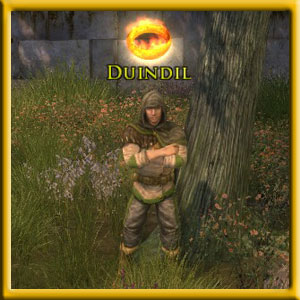 Duindil