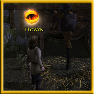 Tegwyn