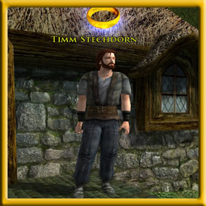 Timm Stechdorn