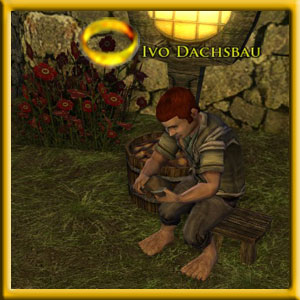 Ivo Dachsbau