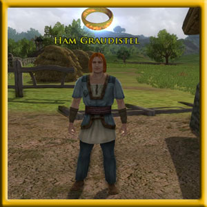 Ham Graudistel