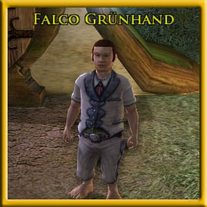 Falco Grünhand