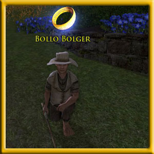 Bollo Bolger